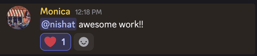 Discord message telling Nishat her work is awesome